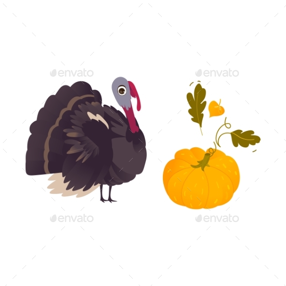 Farm Hen Turkey and Ripe Orange Pumpkin