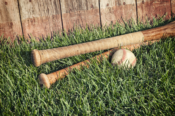 Old Baseball Bats and Ball in Grass by Wood Fence
