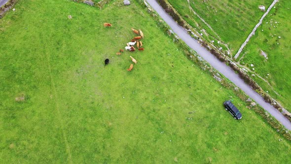 Beautiful Aerial View of Valentia Island. Locations Worth Visiting on the Wild Atlantic Way. Scenic