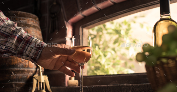 Wine expert tasting a glass of wine - Stock Photo - Images