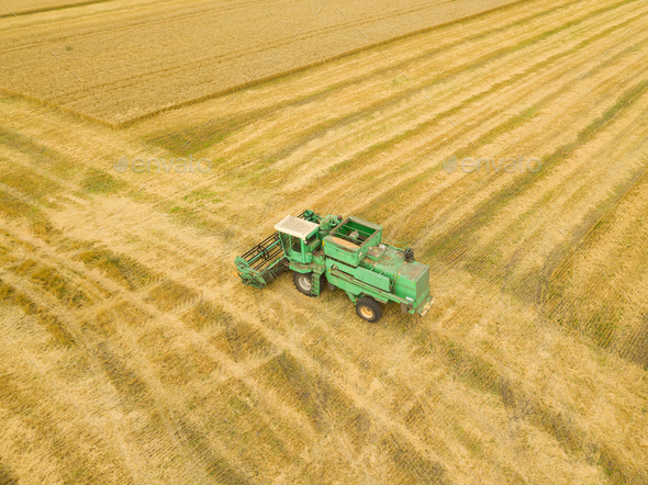Top view combine harvester gathers the wheat at sunset. Harvesti - Stock Photo - Images