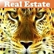 The Real Estate