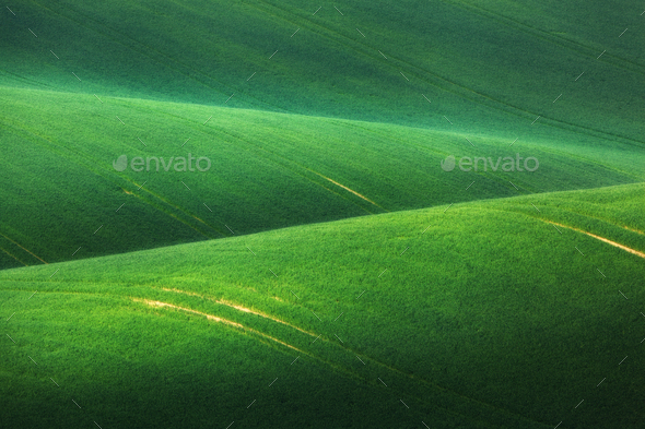 Minimalistic landscape with green fields, rolling hills at sunri - Stock Photo - Images