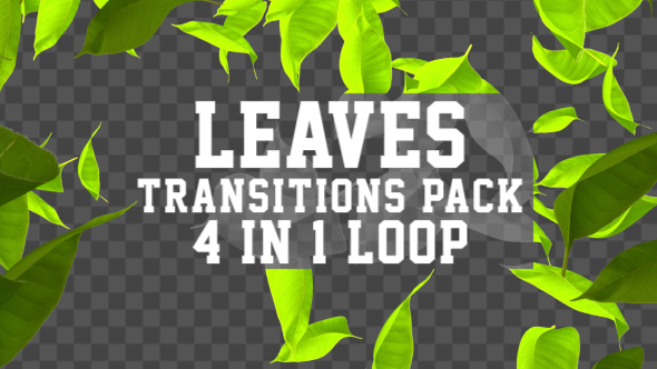 Leaves Transition Pack 4 in 1