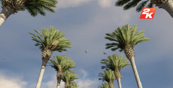 Palms and Time-lapse Clouds