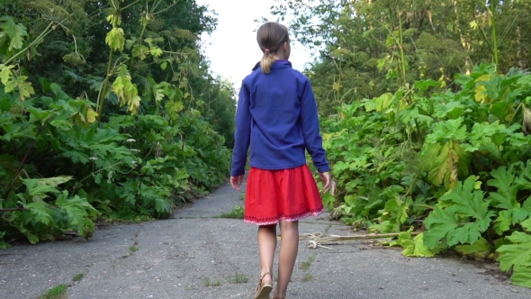 Girl Goes Along Abandoned Road Overgrown by Hogweed alt
