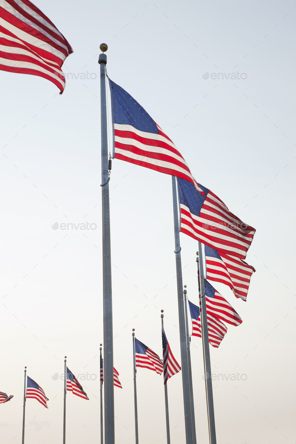 Flags at the Washington Monument in Washington DC - Stock Photo - Images