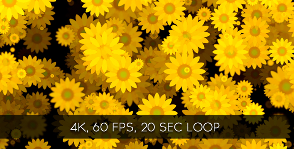 Sunflower  Background alt