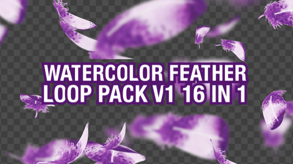 Watercolor Falling Feather Pack 16 in 1