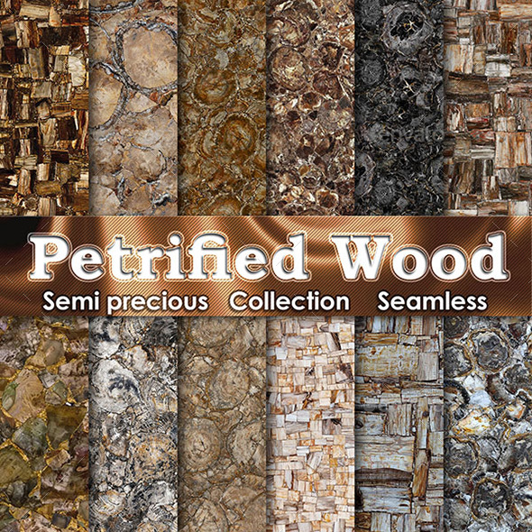 Petrified Wood - 3Docean 20506820
