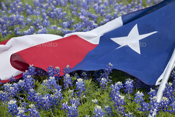 The Bluebonnet Trail In Ennis With A Texas Flag Photograph, 58% OFF