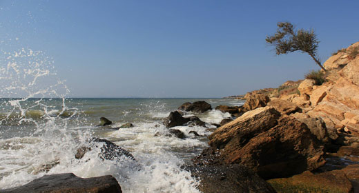 Cinematic & Inspiring