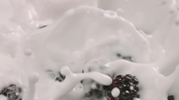 Blueberries Falling Into Milk in Blueberries Falls Into Yogurt in