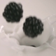 Blueberries Falling Into Milk - VideoHive Item for Sale