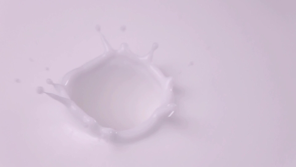 Raspberries Falling Into Milk in Raspberry Falls Into Yogurt in