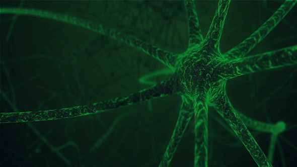 Neuron Cell in Neuronal Human Tissue alt