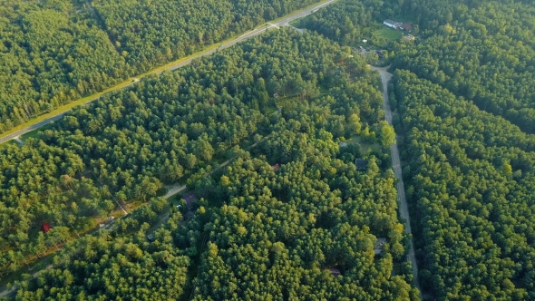 Roads in Green Woods alt