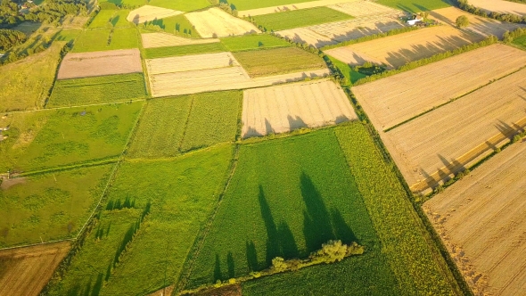 Picturesque View of Green Farmland alt
