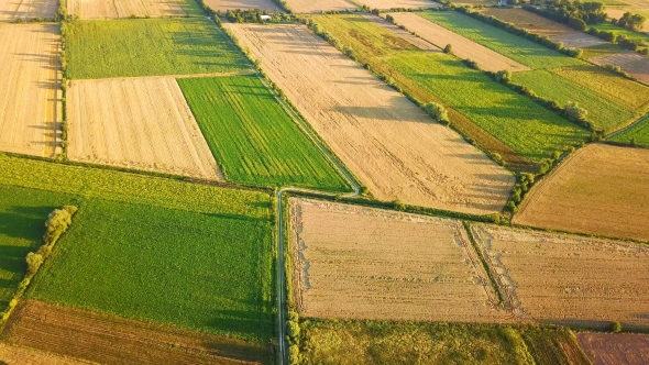 Pattern of Green Terraces in Sunlight alt