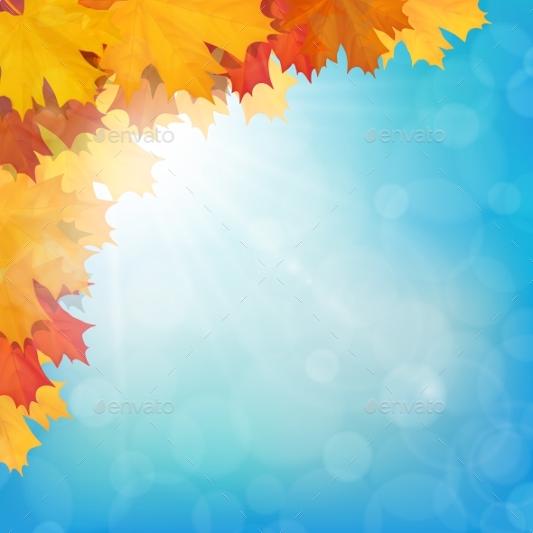GraphicRiver Realistic Maple Leaves Corner Sun Sky 20517016 GraphicRiver Realistic Maple Leaves Corner Sun Sky 20517016