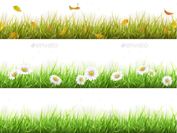 Grass in Different Seasons Set - Flowers & Plants Nature