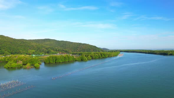 An island-shaped mangrove forest in the middle of a river mouth near the sea. alt