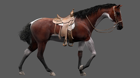 3D Horse Walk