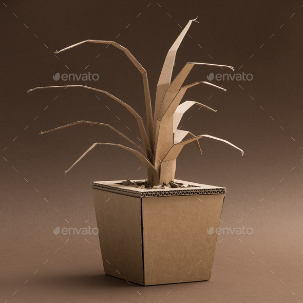 Decorative plant made of cardboard Stock Photo by stokkete PhotoDune