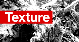 Texture