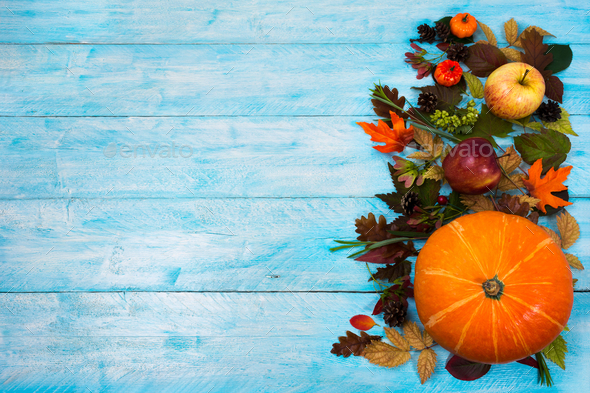 Thanksgiving background with leaves and squash on blue wooden Stock ...