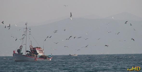 Fishing Boat With Swarm Of Seagulls