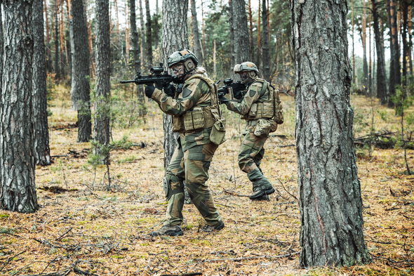 norwegian soldiers in the forest Stock Photo by Getmilitaryphotos ...