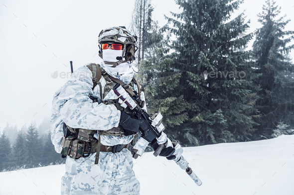 Winter arctic warfare - Stock Photo - Images