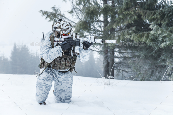 Winter arctic warfare - Stock Photo - Images
