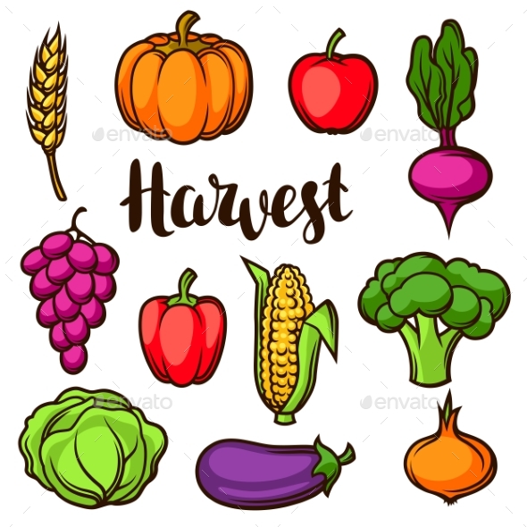 Harvest Set of Fruits and Vegetables