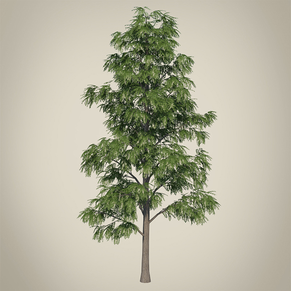 Vray Ready Tree - 3Docean 20531828