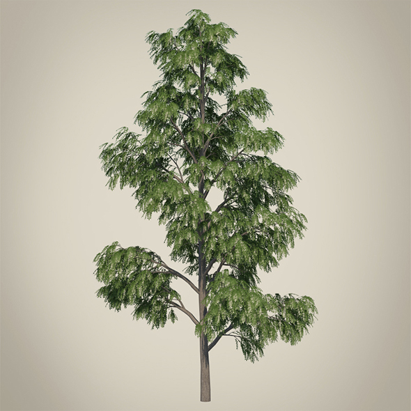 Vray Ready Tree - 3Docean 20531850