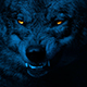 Wolf Growls With Glowing Eyes At Night - VideoHive Item for Sale