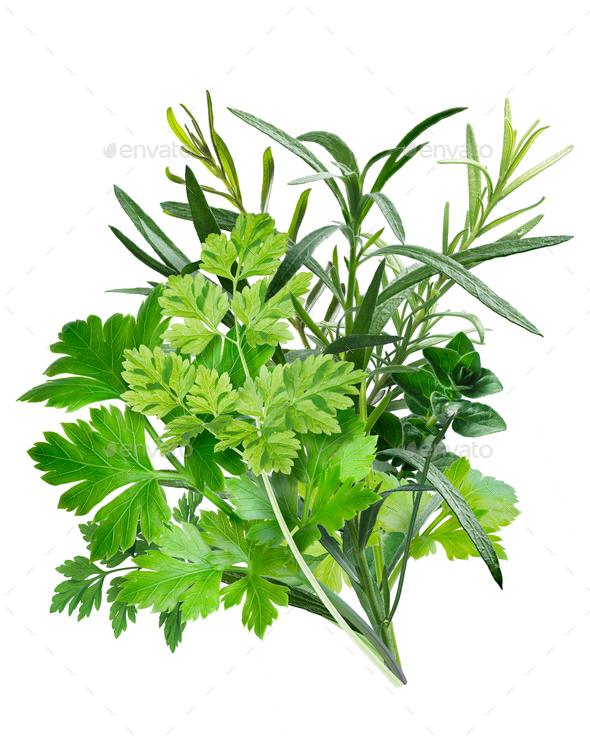 Herbes de Provence (combination of herbs) - Stock Photo - Images