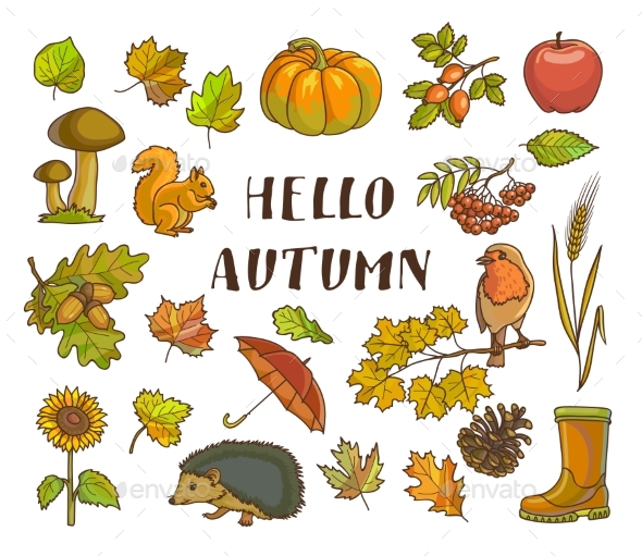 Hello Autumn Poster with Isolated Thematic - Flowers & Plants Nature