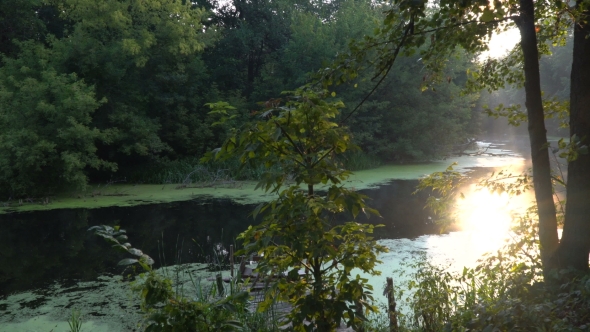 Sunrise on River