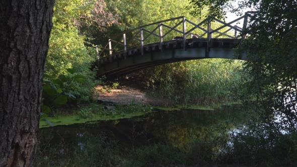 Old Bridge on River