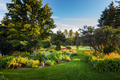 Beautiful Front Yark Garden - PhotoDune Item for Sale