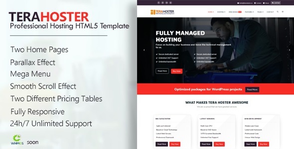 ThemeForest TeraHoster Professional Hosting HTML5 Template 20403497 ThemeForest TeraHoster Professional Hosting HTML5 Template 20403497