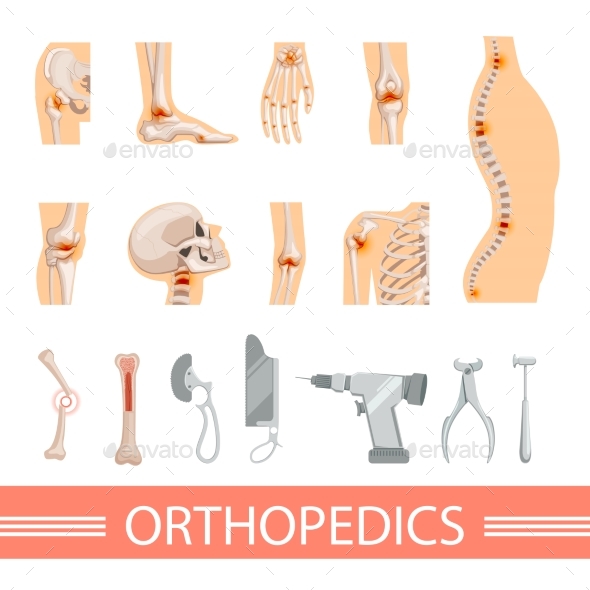 Orthopedic Icons Set. Human Skeleton, Bones - Objects Vectors