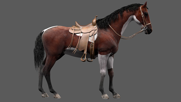 3D Horse Standing