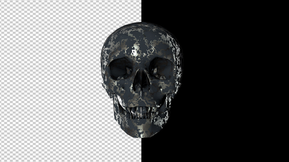 Old Metal Skull alt
