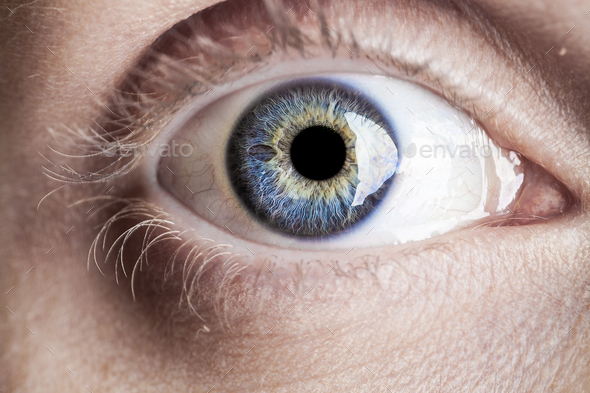 Macro blue eye with lots of details - Stock Photo - Images