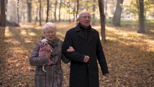 Elderly Couple Spending Time on Walk with Dog alt
