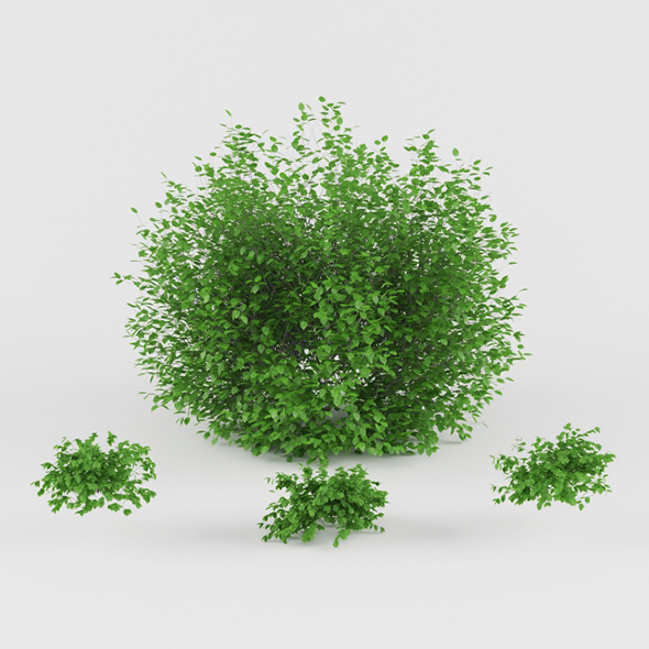 Vray Ready Plants - 3Docean 20561088